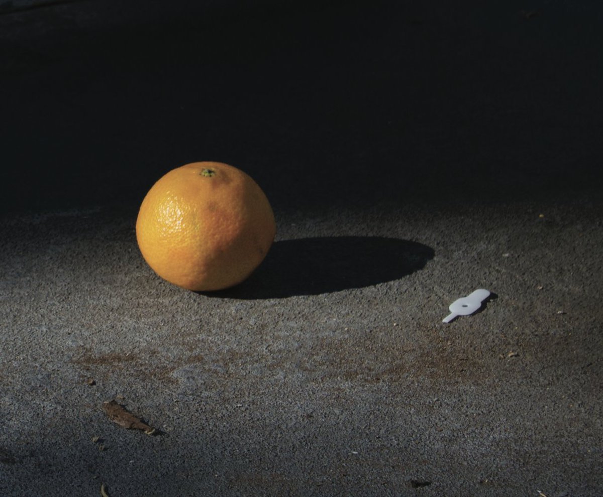 monkeybicycle tweet media