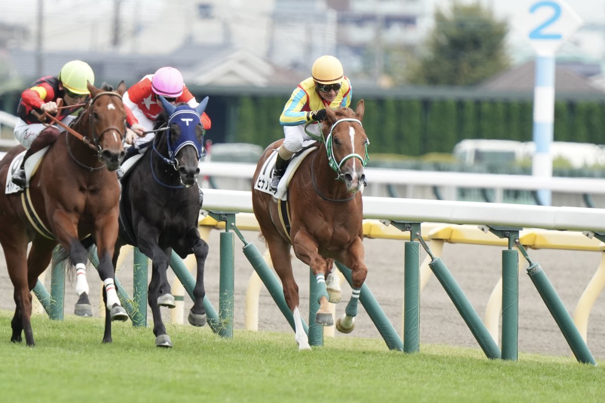 レア　かみのやま競馬マッチ　2つ こぐま on X