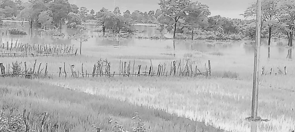 Heartbreaking news. A local disciple was recently abducted and murdered for his faith in Jesus. His body was discovered along a road next to his motorbike. He was a new Christian and just got baptized in April. His family was threatened for being part of a village house church.