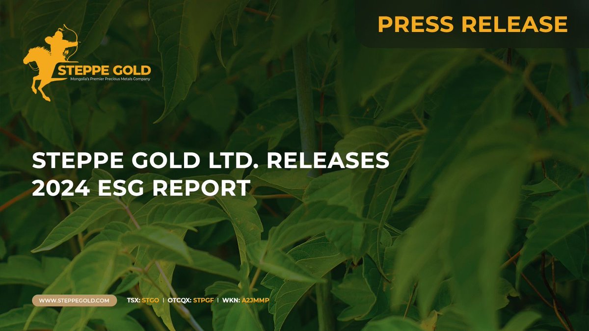 Steppe Gold | TSX: STGO tweet media