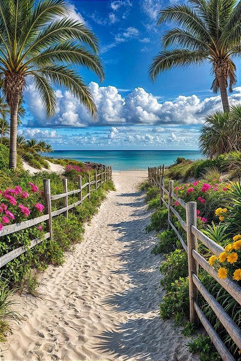 SALLYKENNY001's tweet image. Where worries fade and waves whisper 💕🌴
#BeachMood #SummerForever #TropicalVibes #EscapeReality