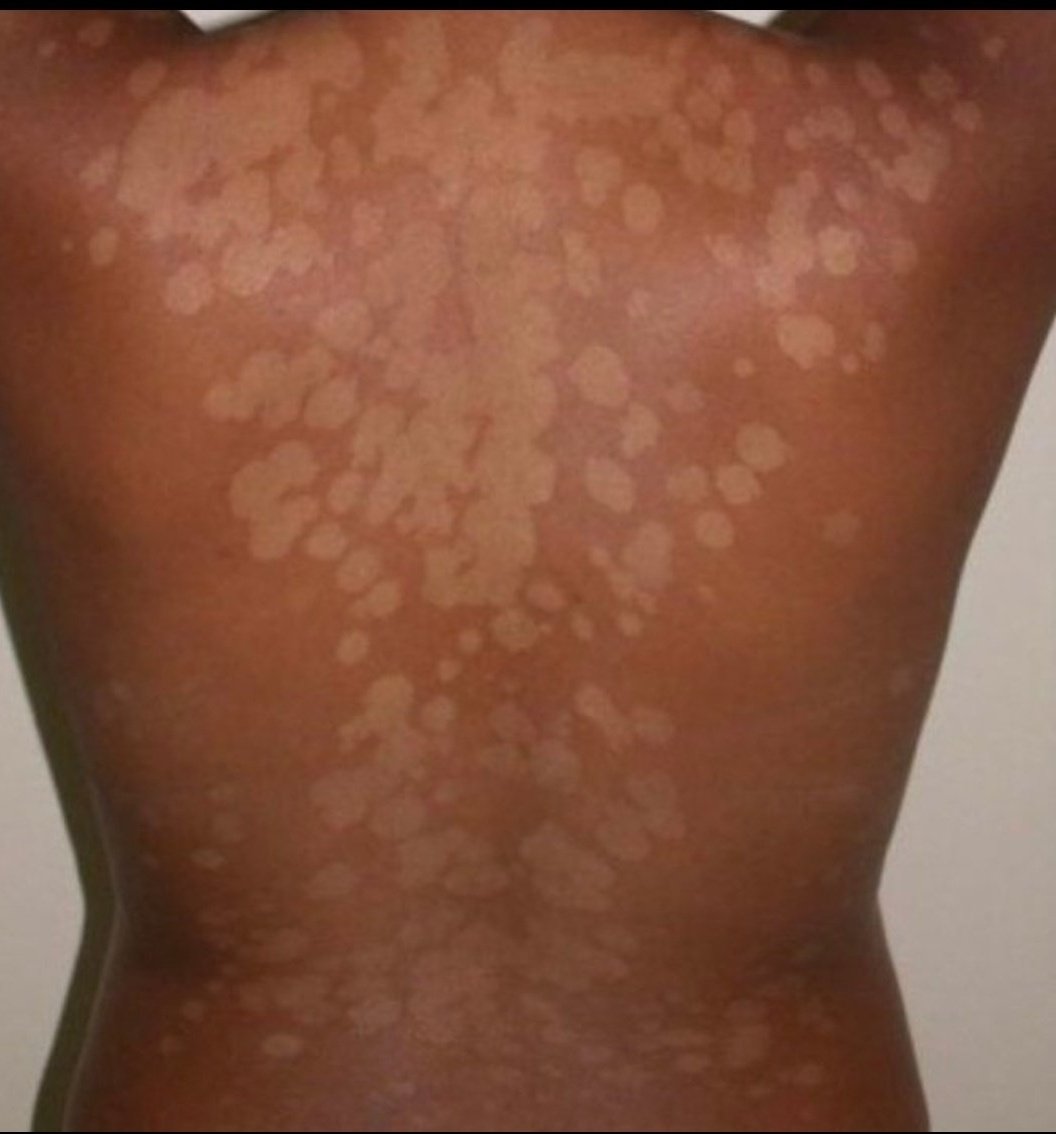 Nyaburi 🐝 tweet media