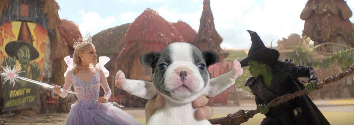 STOP THE VIOLENCE!!!