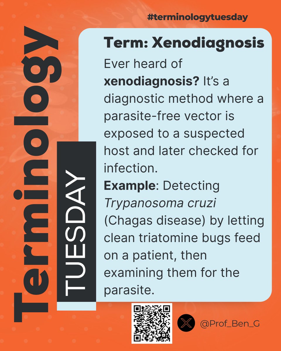 Prof_Ben_G's tweet image. Terminology Tuesday: Xenodiagnosis

A diagnostic method where a clean vector is allowed to feed on a suspected host, later checked for parasites. 
Used to detect Trypanosoma cruzi (Chagas disease).

#ParasiteWatch #Parasitology #Xenodiagnosis #TropicalMedicine