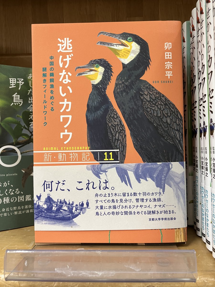 新・動物記 (@Dobutsuki_KUP) / Posts / X