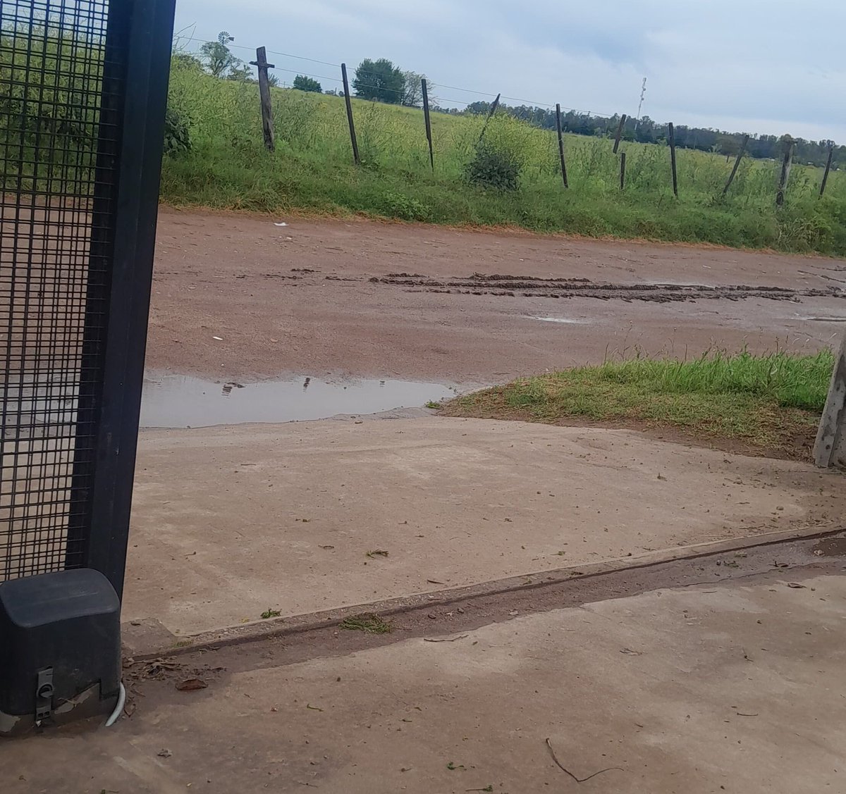 Promedios de las lluvias en la madrugada de hoy en todo el distinto de Rivadavia 👇 

20 mm González Moreno 
20 mm Sundblad 
18 mm Roosevelt 
12 mm América 
12 mm Sansinena 
25 mm Fortín Olavarría