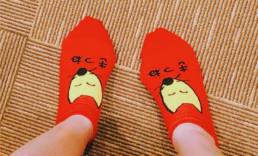 室内用に格下げされた頭のわるい靴下😊