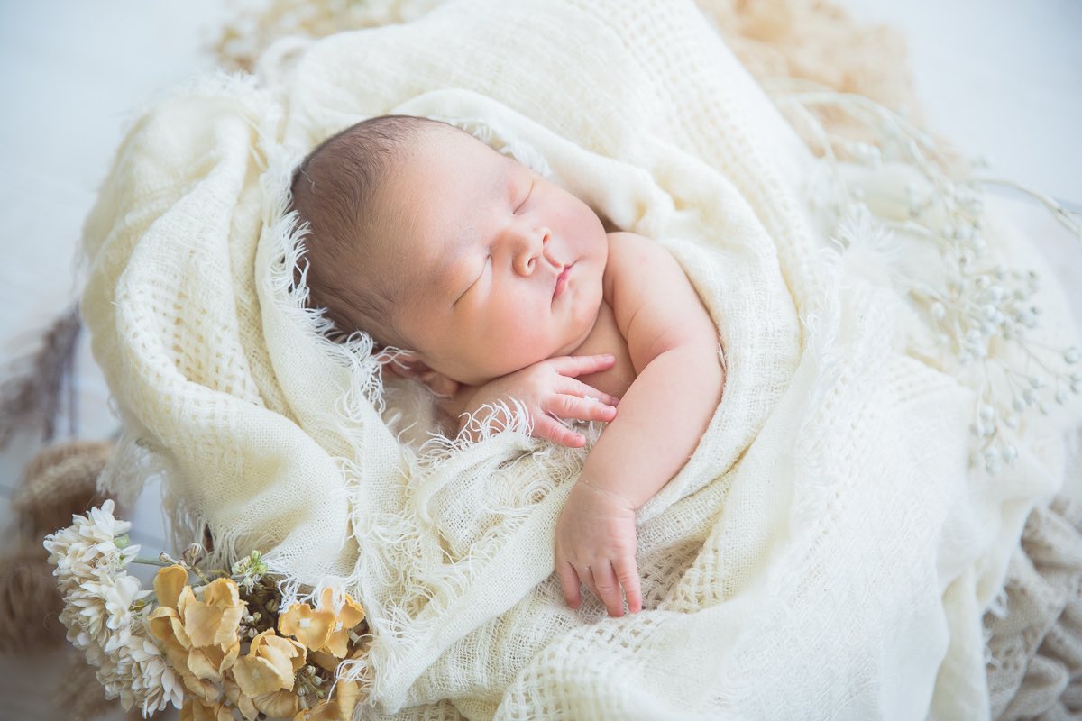 みき けいこ〈広島の出張撮影カメラマン〉 tweet media