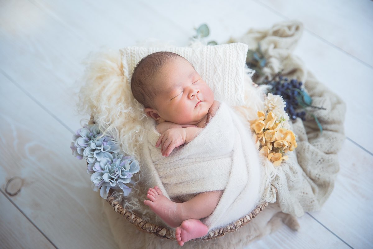 みき けいこ〈広島の出張撮影カメラマン〉 tweet media