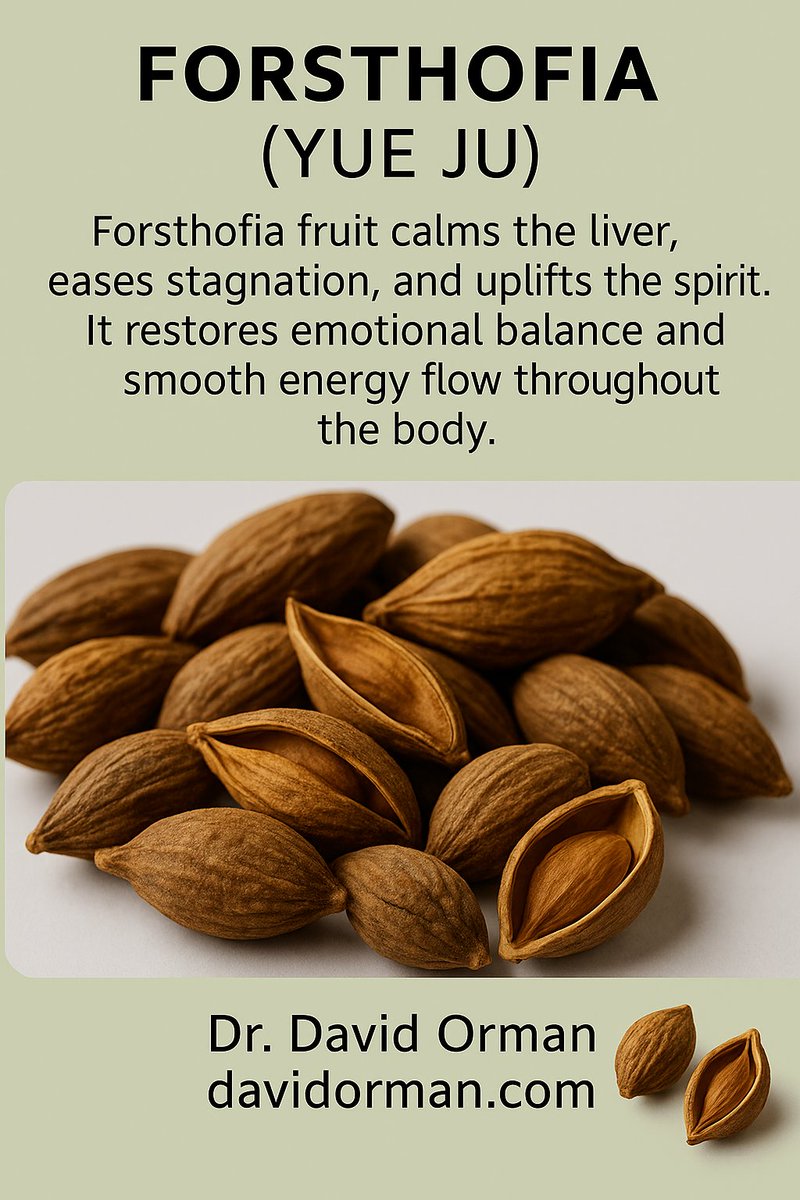 CFLSystema's tweet image. To read more, click here: davidorman.com/2025/11/04/for…