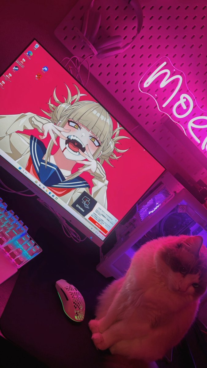 もえじ tweet media