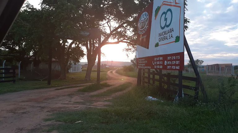 Edgar franco tweet media