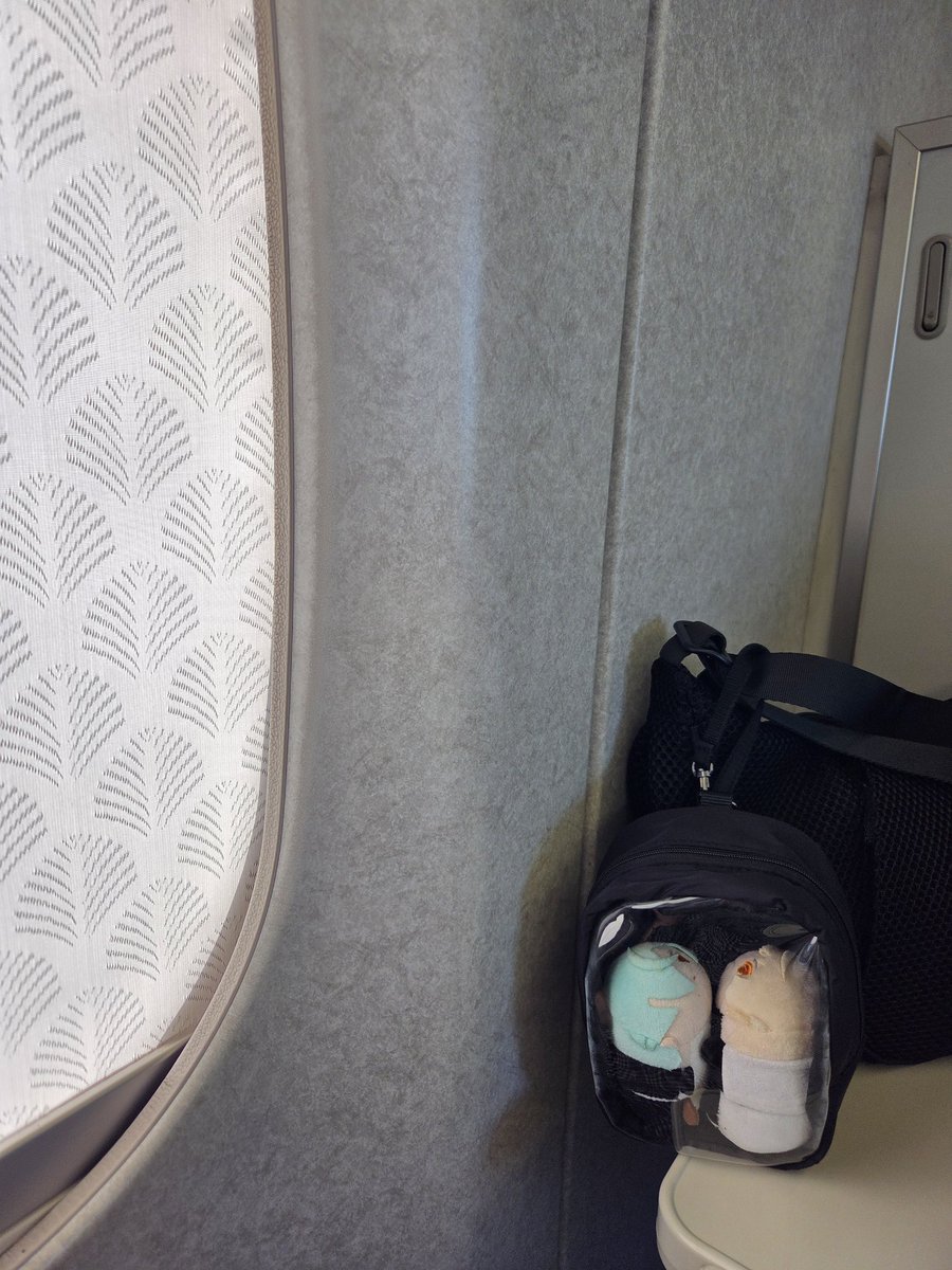 Ro1x2a3ne's tweet photo. 251031
🚅 ➡️台南 🚆n.o.0613 (~10:06) 🎫NTD:1190
🚶♀️ 3 min
🚍 高鐵台南站 #H31 高鐵台南站➡️市政府 (10:20~10:36) 奇美博物館 下 🎫出示高鐵票證免費
🚶♀️ 10 min
🏛 奇美博物館 ⏳️09:30~17:30 🎫NTD:200
#台灣高鐵 #THSR
#奇美博物館 #CHIMEIMUSEUM
#源氏兄弟 https://t.co/dprCEKdTvw