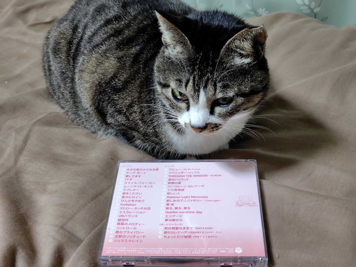 河合奈保子 NAHOKO サイン入りウサギの直筆イラスト 河合奈保子 NAHOKO