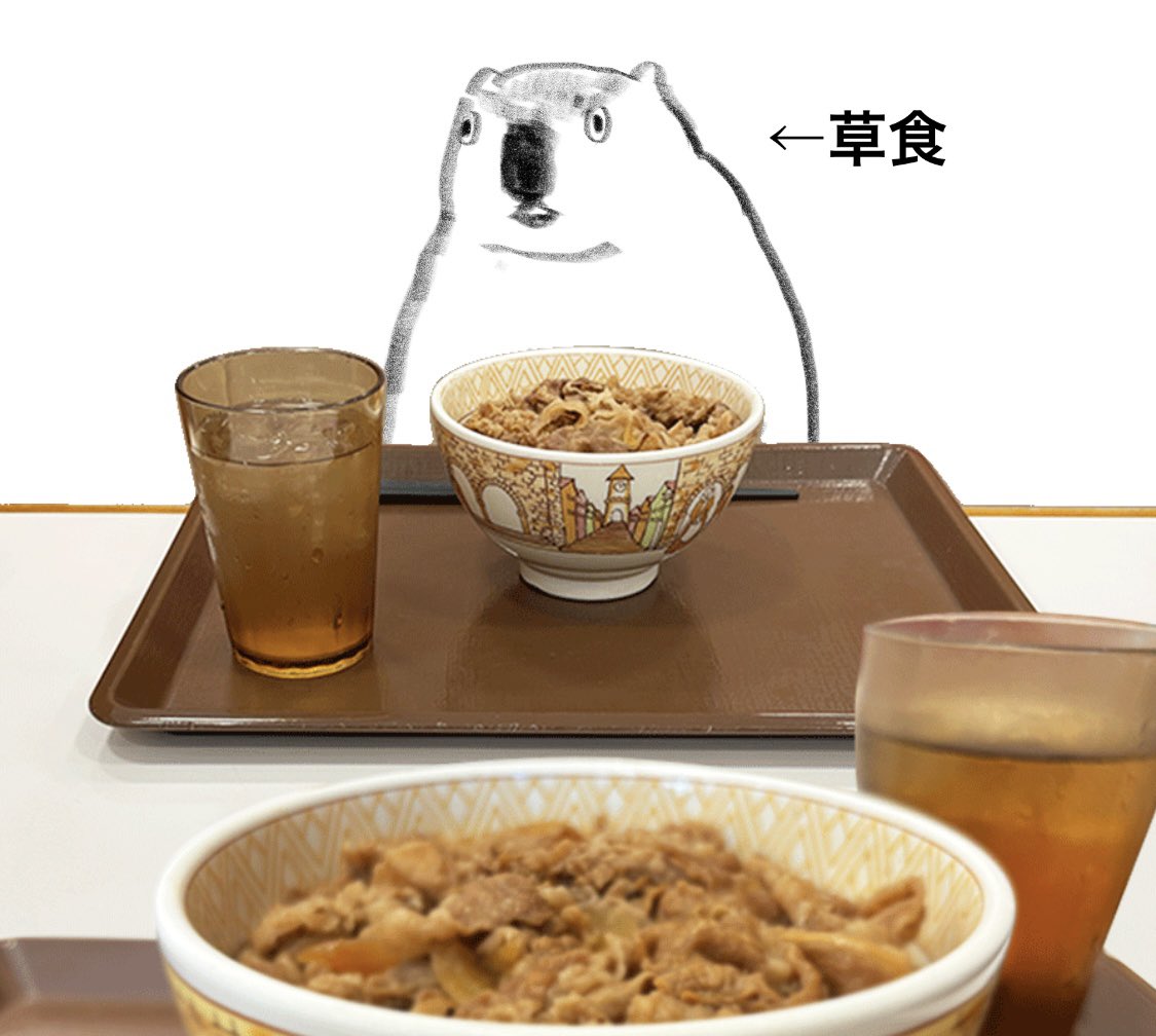 マーモット中毒 (@marmot_addict) on Twitter photo 