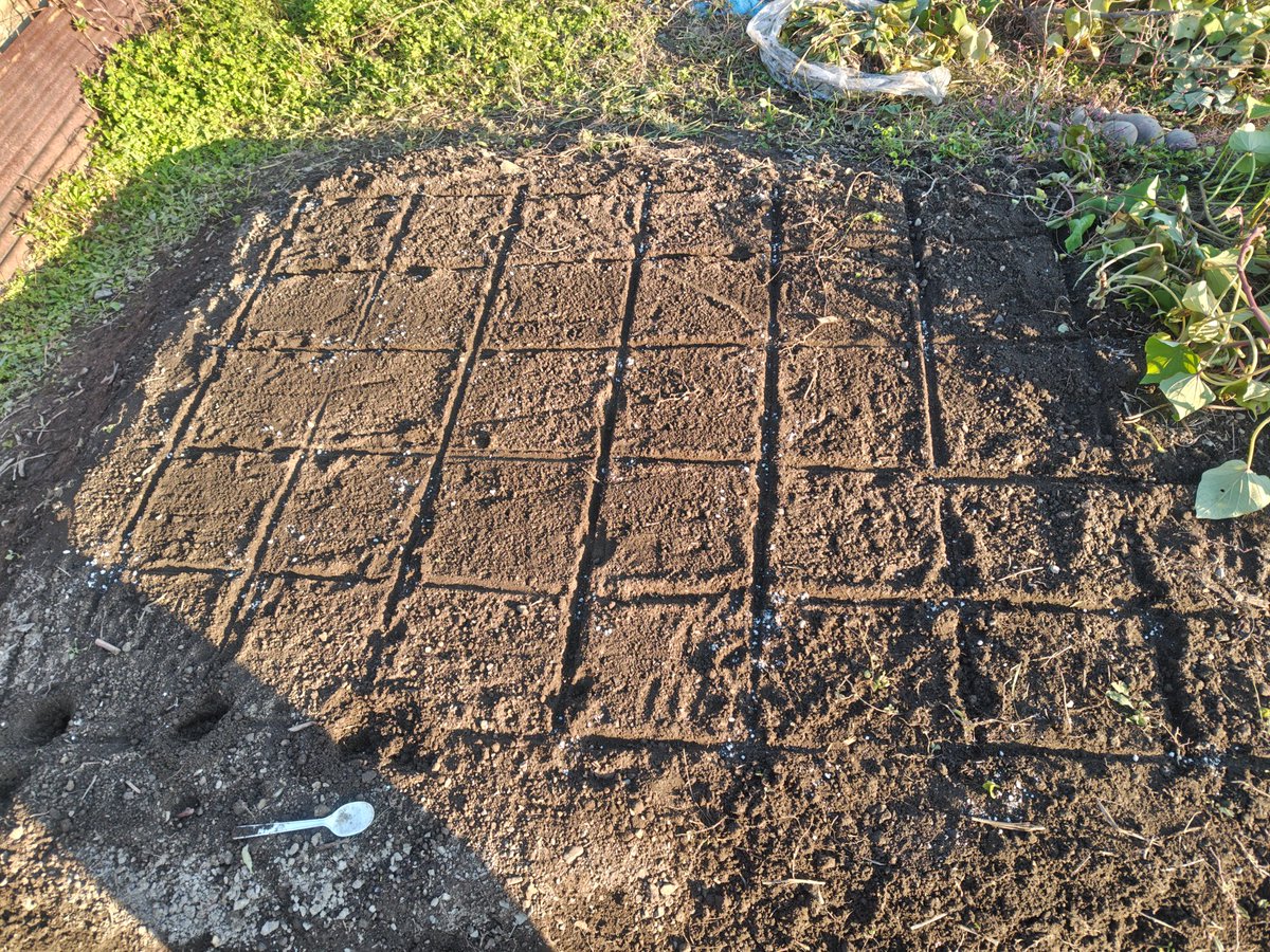 ricp*玉葱苗→プロフ見てください✤✼ 小菊 on X