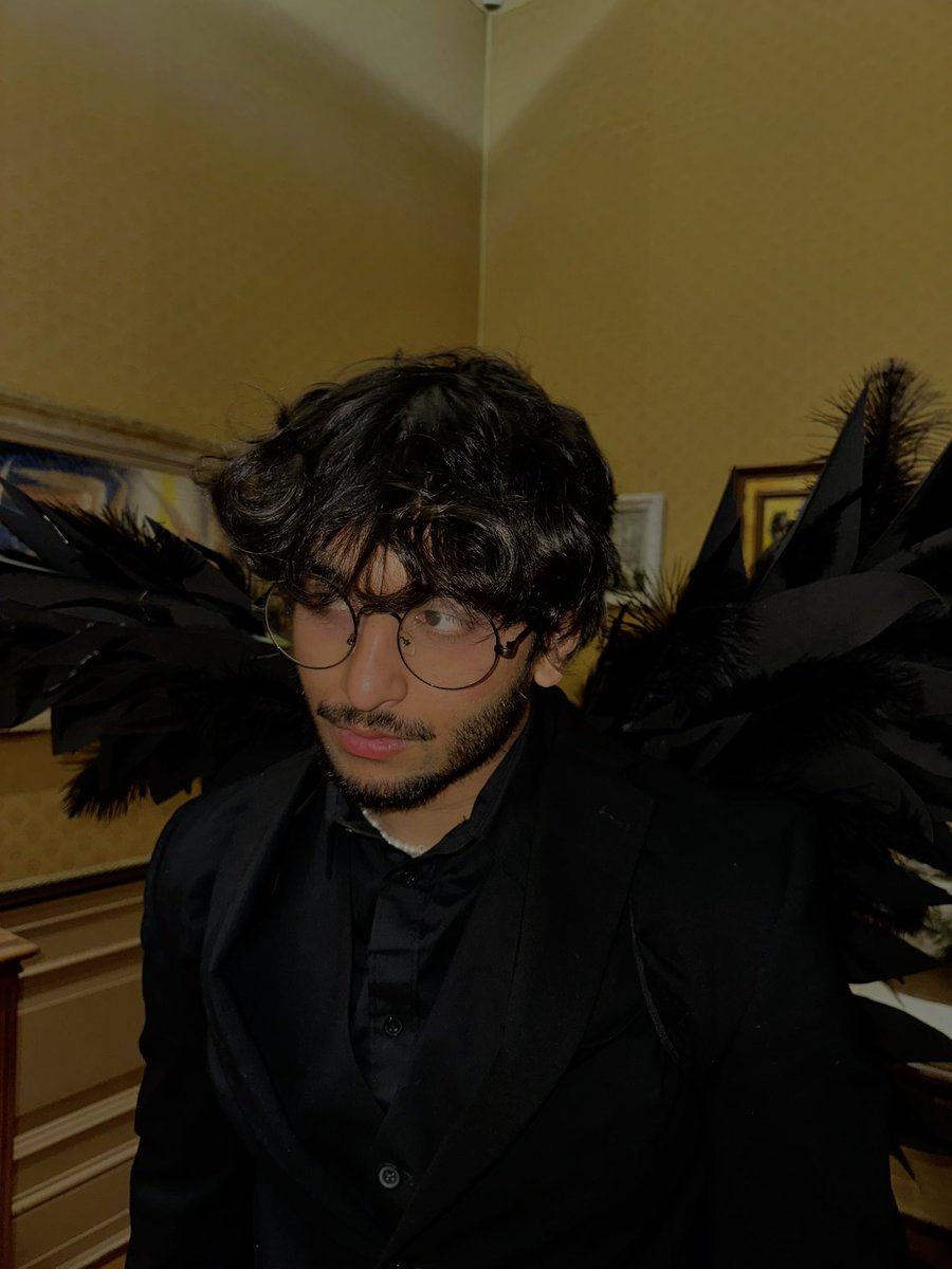 redbull gave me these wings