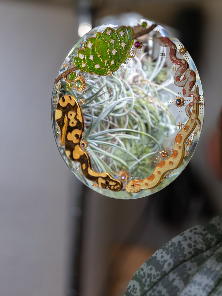 この鏡……覗き込んだらおっさんが映る………