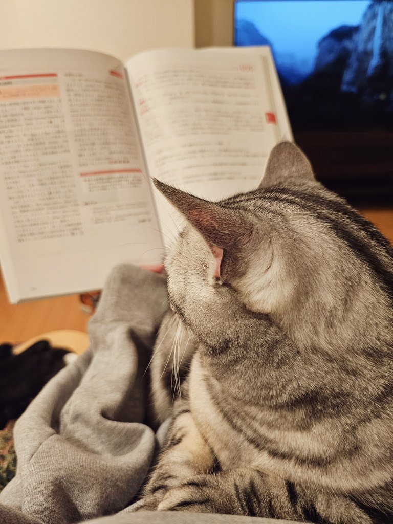 じぇいじぇい on X