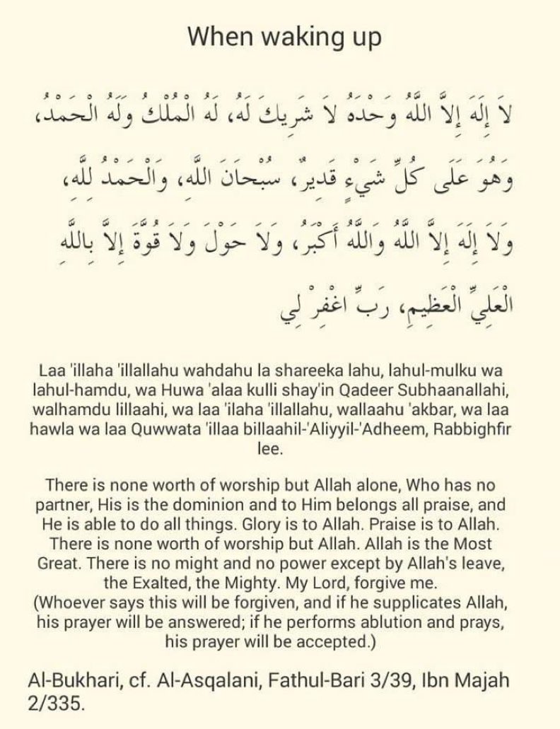STRIVING MUSLIM tweet media