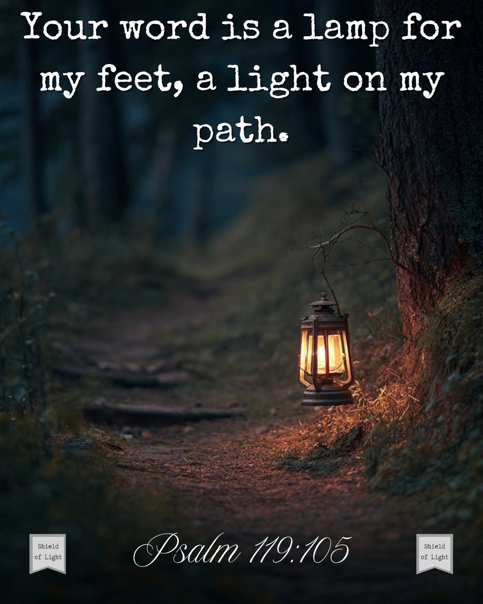 Shield_of_Light's tweet image. This verse is important because it shows that God’s Word is not just truth—it’s illumination. His light reveals the next step even when the road ahead is dark.
#Psalm119105 #LightForThePath #WalkInHisWord #FaithfulSteps #GuidedByGod #TrustHisDirection #FaithInHisLight