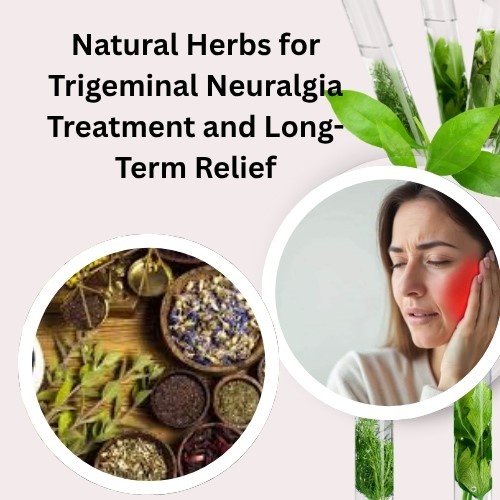 DevidSamith's tweet image. Natural Herbs for Trigeminal Neuralgia Treatment and Long-Term Relief
herbal-care-products.com/blog/natural-h…
#BenShapiro
#Mamdani
#60Minutes
#Dodgers
#TodayisElectionDay
#KoaPeat
#Cuomo
#Cardinals
#WWERaw
#Cowboys