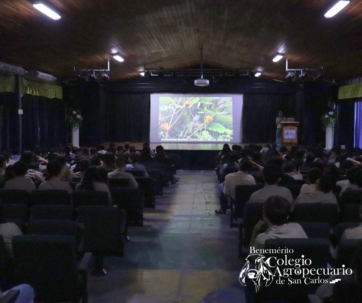 proyectoasis's tweet photo. Con este taller damos inicio a la Feria San Benito 2025 🦜🌿🌎

Asis Costa Rica Wildlife and Sloth Sanctuary: https://t.co/5KXyvkQtrB https://t.co/cyCjiCoIhD