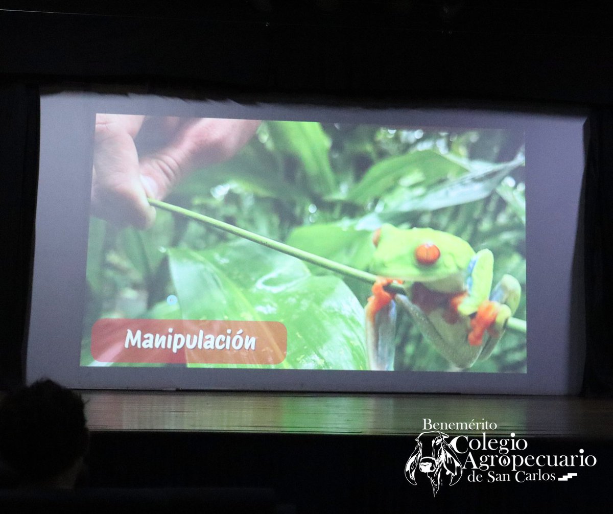 proyectoasis's tweet photo. Con este taller damos inicio a la Feria San Benito 2025 🦜🌿🌎

Asis Costa Rica Wildlife and Sloth Sanctuary: https://t.co/5KXyvkQtrB https://t.co/cyCjiCoIhD