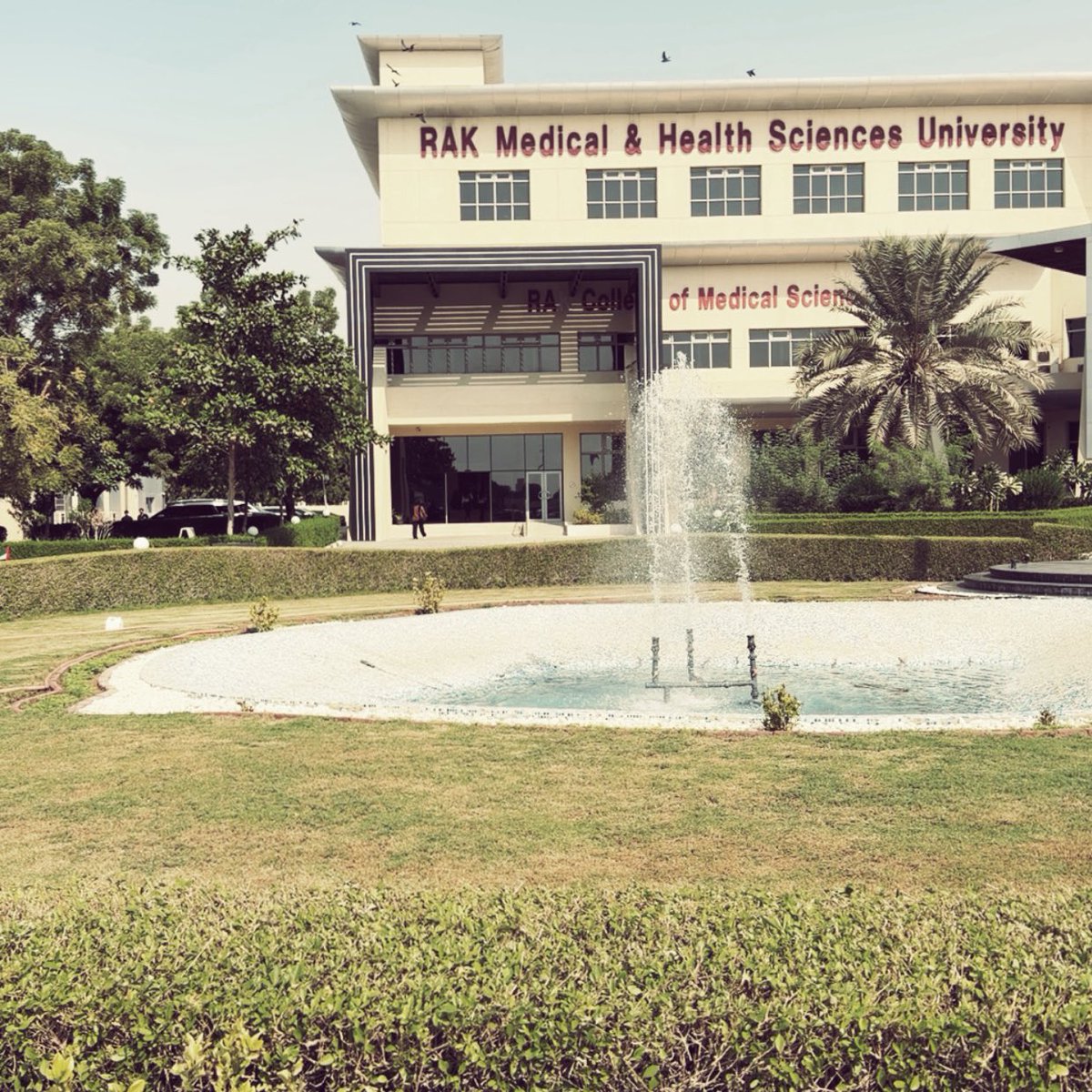 prvmesho's tweet image. About today 🩺