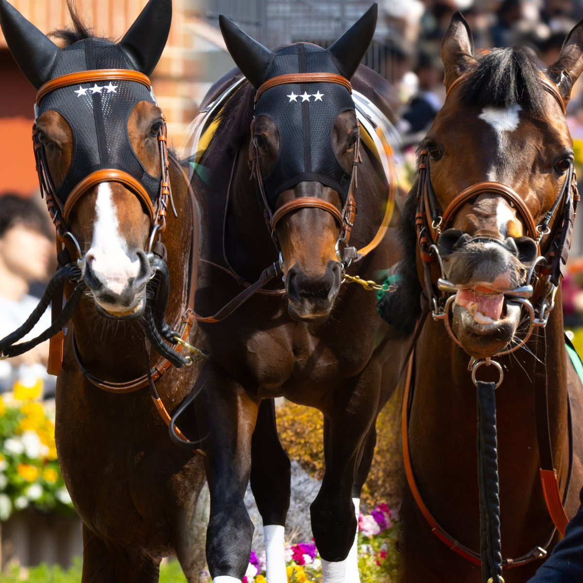 他の方発送× リアリズム　馬の肖像画 他の方発送× リアリズム 馬の肖像画 他の方発送× リアリズム 馬