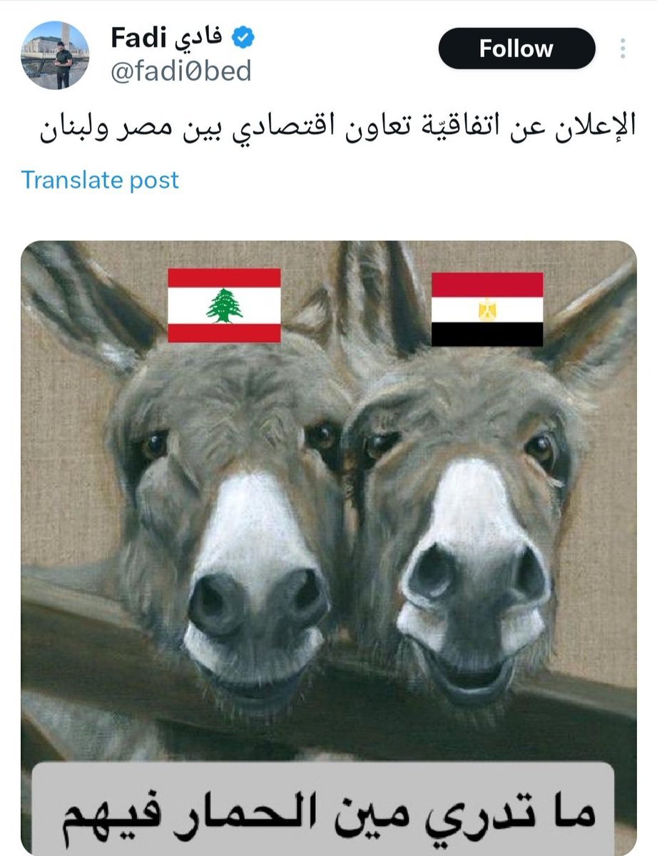 Darine Succar 🇱🇧♥️🤍 tweet media