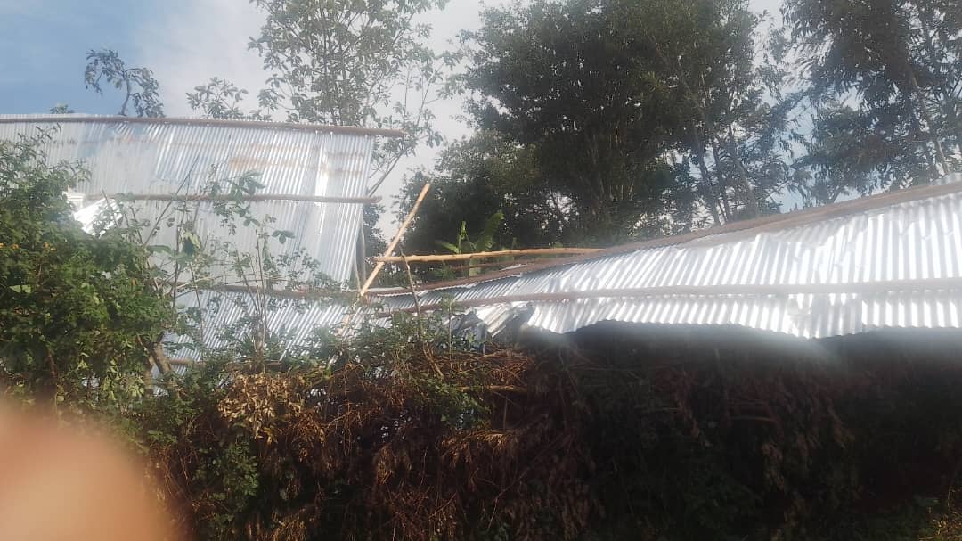 credej14burundi's tweet photo. #Burundi #Ngozi #Education
21 élèves de l’Ecole  d’Alliance sur la colline Kayogoro (commune Ngozi) ont été grièvement blessés après les pluies torrentielles qui ont dévasté leur école. Ils sont actuellement sous traitement à l’hôpital de Ngozi. Une élève, Ukwiyishimwe, fille du père Élie Ndayisaba et de la mère Ancille Niyonsaba, n’a pas survécu.
Le CREDEJ rappelle que ces enfants, blessés dans un accident survenu à l’école même, ne peuvent rester à la seule charge de leurs parents.
Il appelle @MENRS4 et les autorités locales à leur apporter un soutien concret, ainsi qu’à la famille éprouvée, surtout que l’école relève de la Fondation Niyongabo, qui accueille des enfants issus de familles vulnérables.