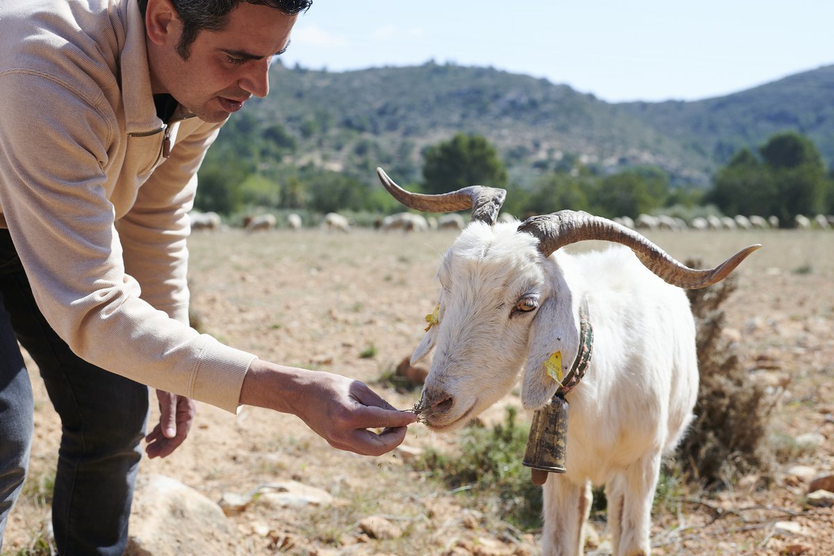 Vivir aquí es aprender a escuchar, observar y respetar lo que nos rodea. 🌿
—
Viure aquí és aprendre a escoltar, observar i respectar allò que ens envolta. 🌿

Reserves: f.mtr.cool/utbhiabumx

#estrellaverde #GuiaMichelin2025 #somgastronomia #Deltadelebre #restaurantestarragona