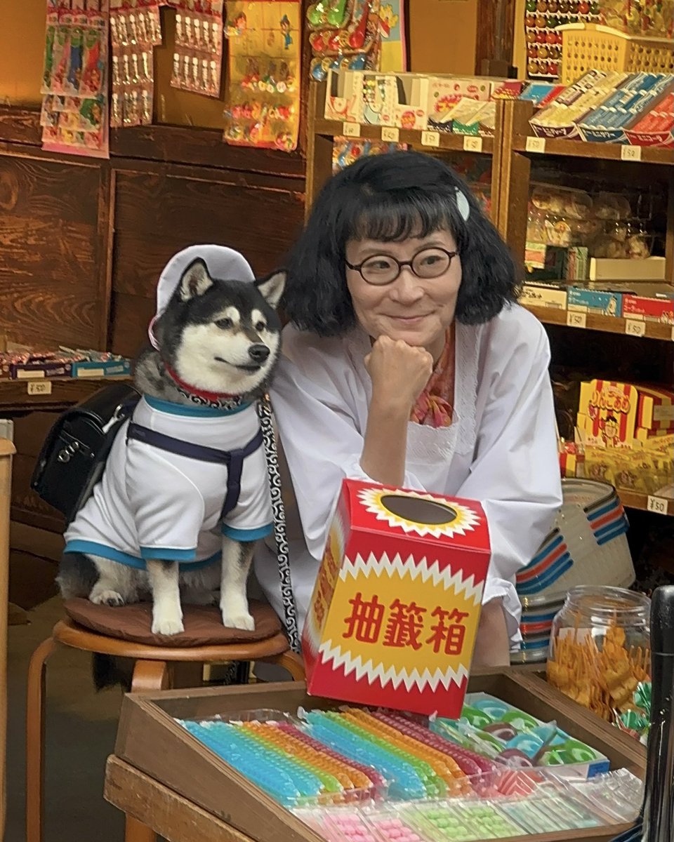 片桐 はいり 実家