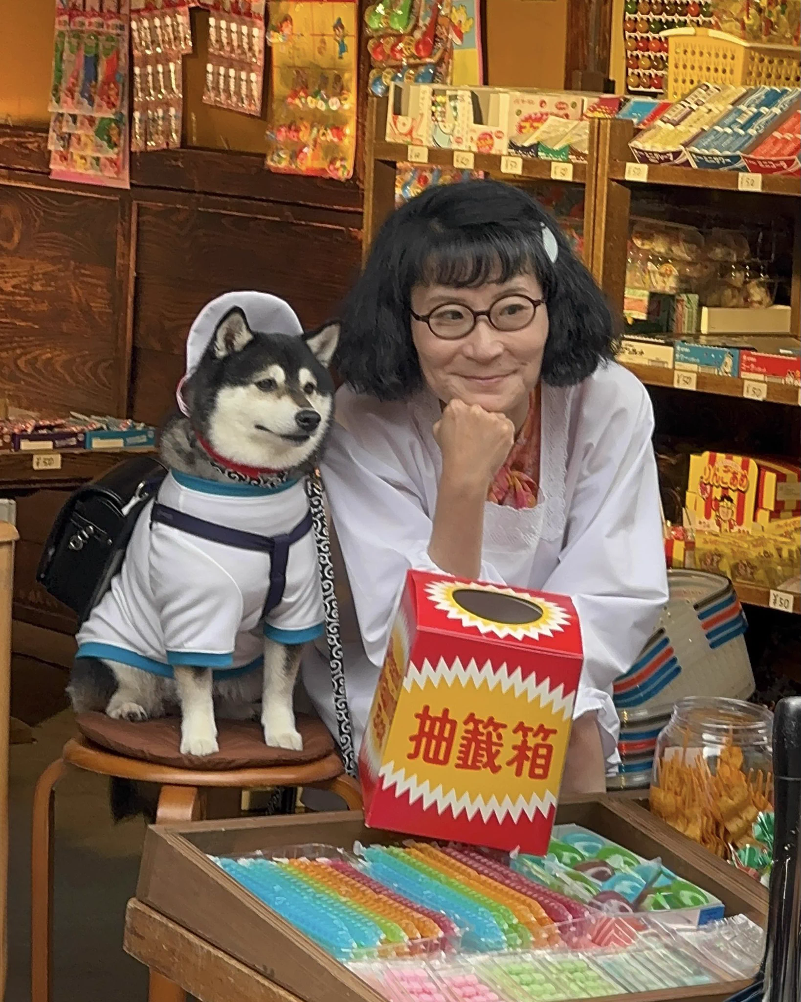 片桐 はいり 実家