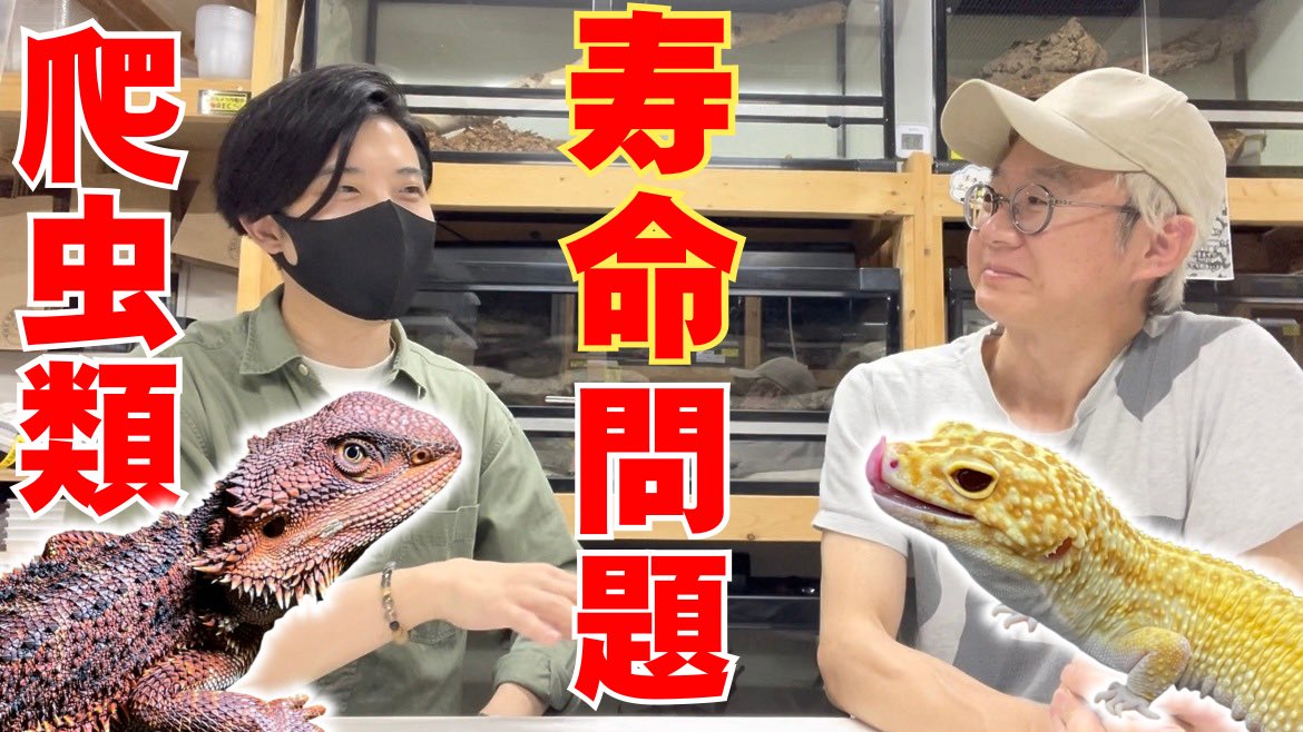 ▼YouTube更新

【後編】冬場の爬虫類飼育で気をつけるべきこと、知っておきたいこと【完全保存版｜爬虫類倶楽部】
youtu.be/YoMn9s6asW4

フォロー＆RPでRAFchステッカー当たります🎯
本日も宜しくお願いします🤲
