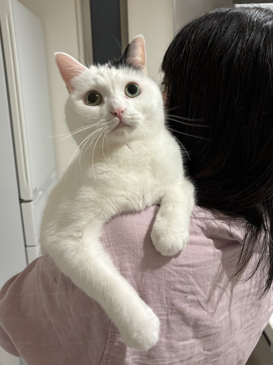 sora (@sora_L715) / Posts / X