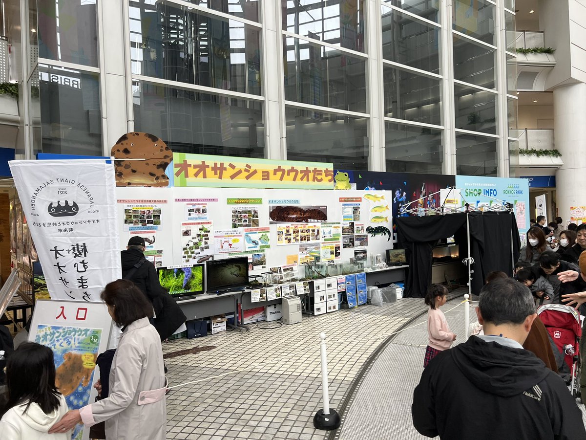 日本ハンザキ集覧 NPO法人 日本ハンザキ研究所