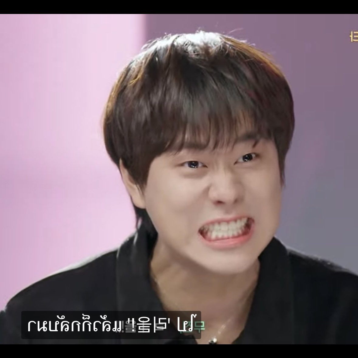 ヤマムラモミジ tweet media