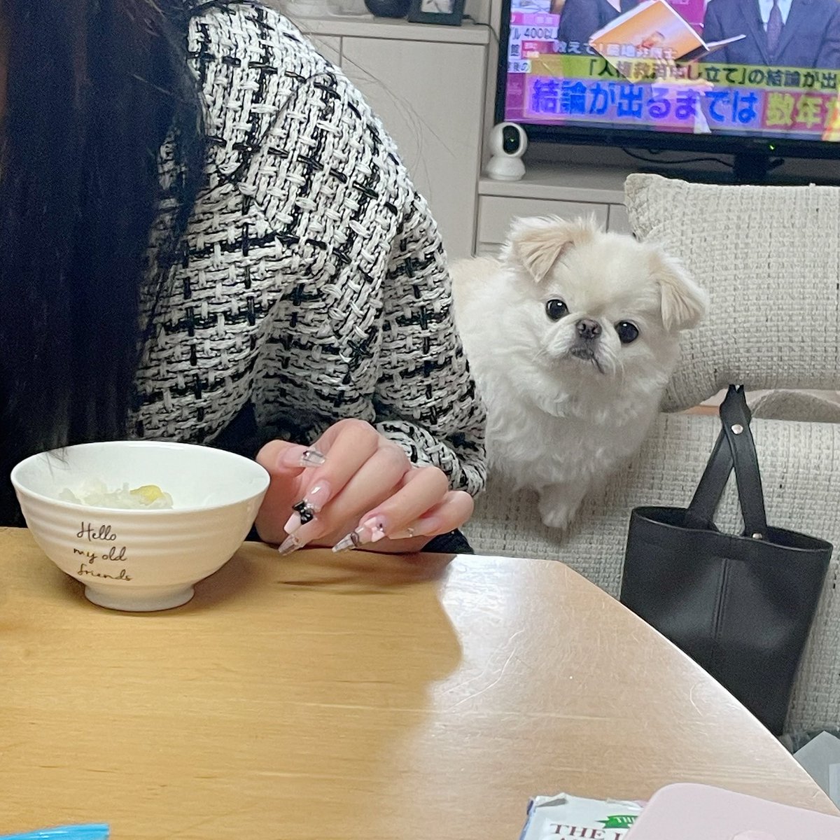 ひよこ様 31fwyDYPn1L._AC_UF350,