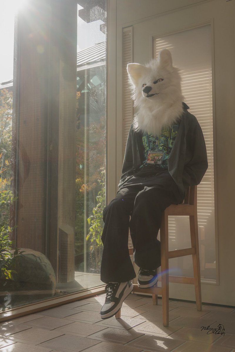 さらまんどあ tweet media