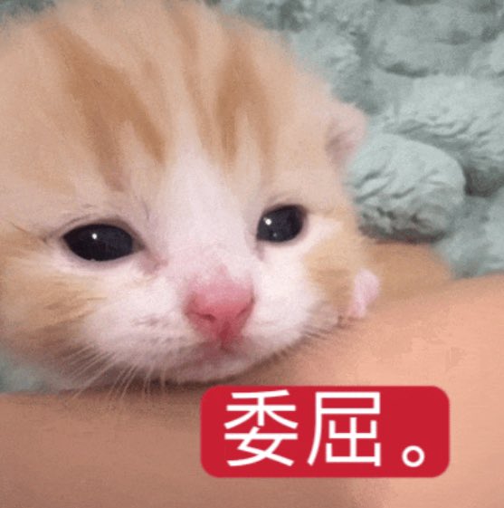 xiii5240's tweet photo. 我每天： https://t.co/SloWC05RTg