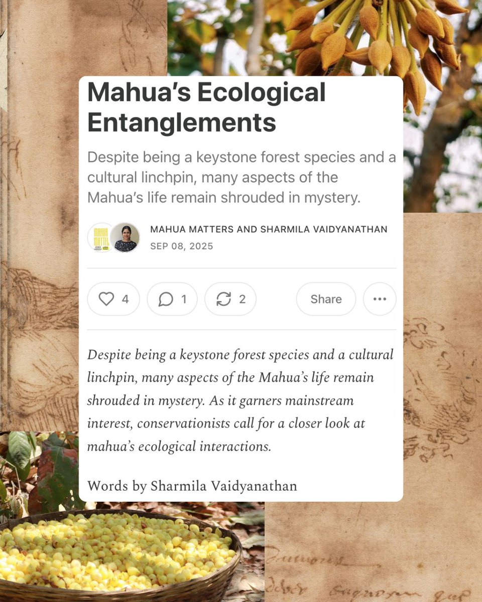 Sharmila Vaidyanathan tweet media