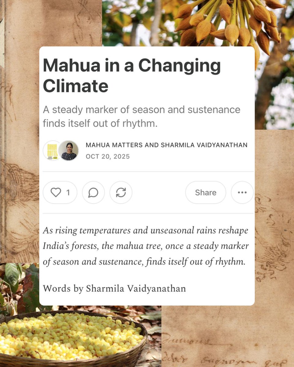 Sharmila Vaidyanathan tweet media