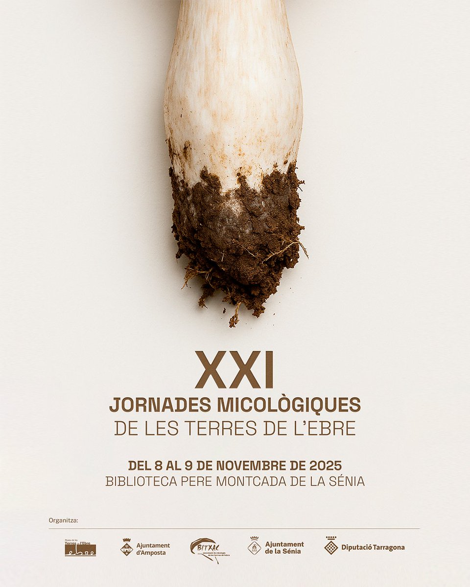 museuterresebre's tweet photo. 🍄 Amant dels bolets, el 8 i 9 de novembre, a la Sénia, tens una cita amb les XXI Jornades Micològiques de les Terres de l'Ebre. 2 dies per endinsar-te en aquest fascinant món a partir de diverses activitats.

Programa i inscripcions 👉 https://t.co/c94nvdoFAs https://t.co/SBjMmGcugc