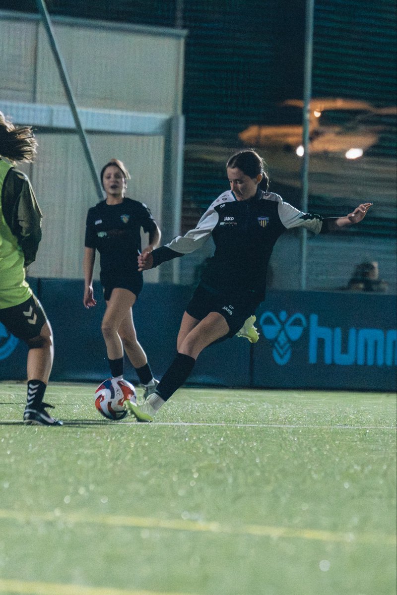 CELTA360 tweet media