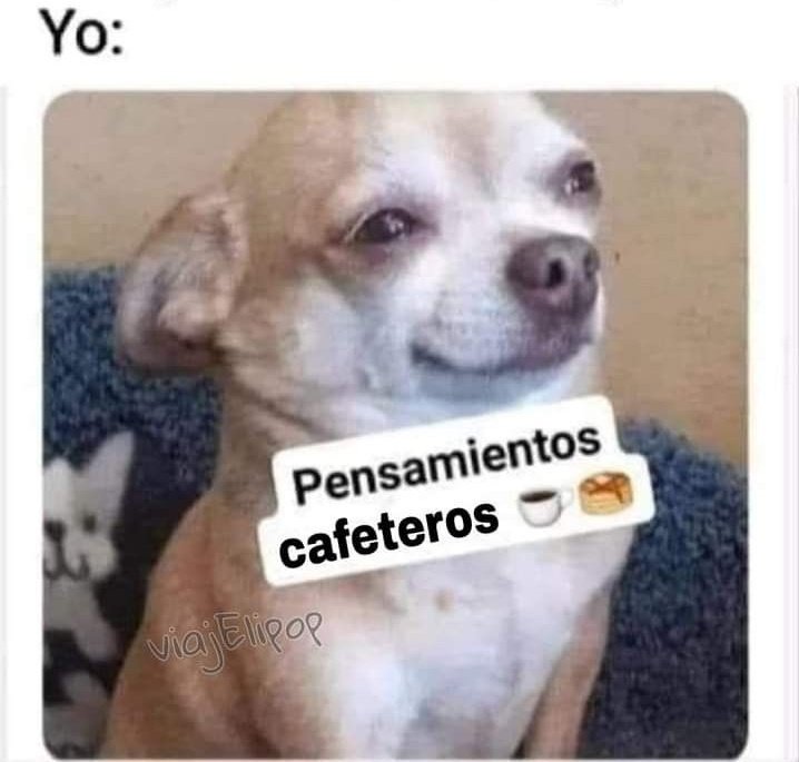 🎵📻🎶🥶 <a href="/YODEBUENAS/">Miguel Barrientos Mx</a> <a href="/YoAmoLa99/">AmoLa99 💙🎶📻 #YoAmoLa99</a> <a href="/La99fm/">La 99 FM</a> #ComenzoElFríoY ☕️❤️