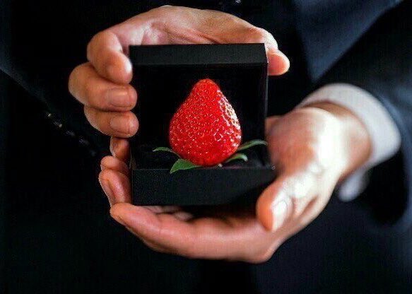 gofood9h2's tweet photo. #mood https://t.co/NjGkHGSMnm