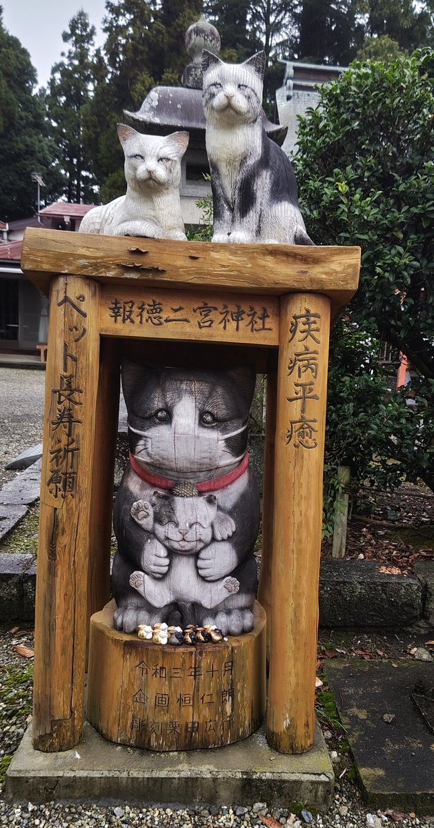 <a href="/____hoshikuzu_/">白湯</a> FF外失礼します💦
先日行った神社にペットの平癒祈願の像があったので…🙏