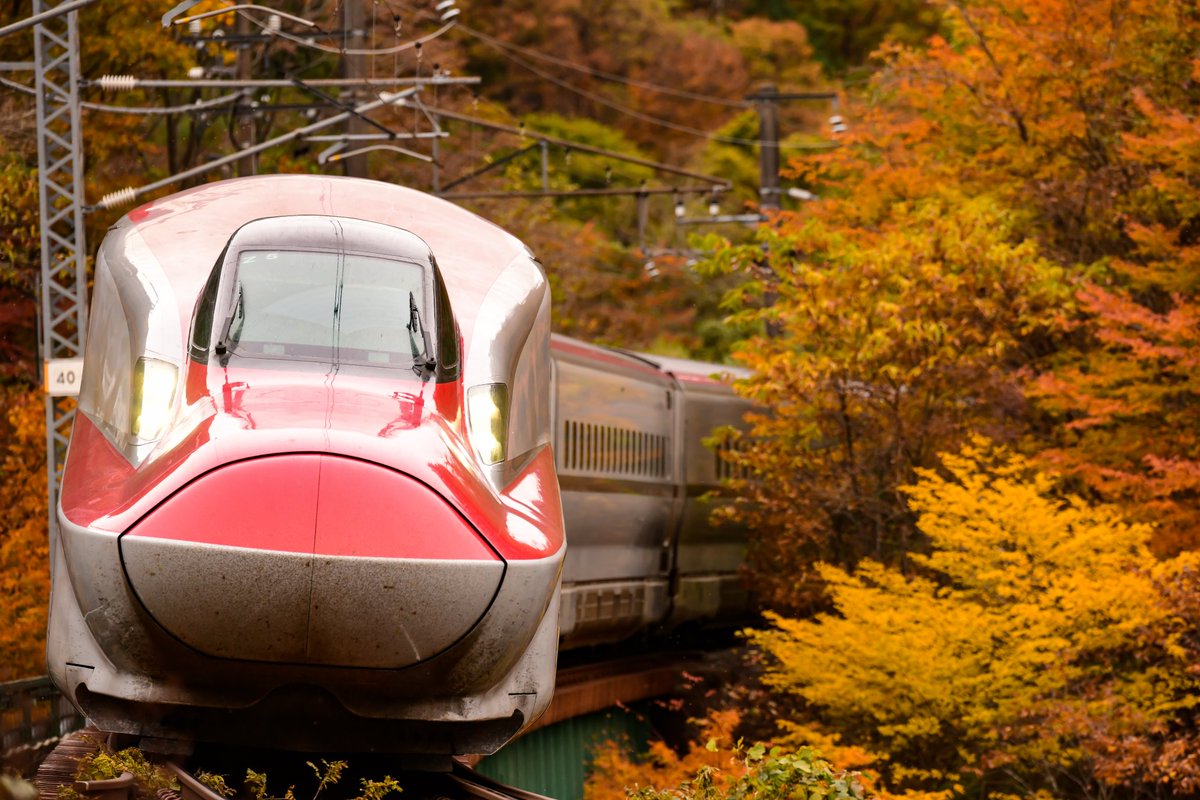 たくみん (@sekijuku) / Posts / X